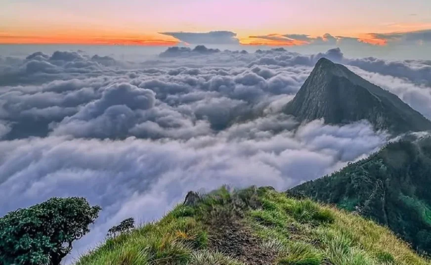 Sunrise mist